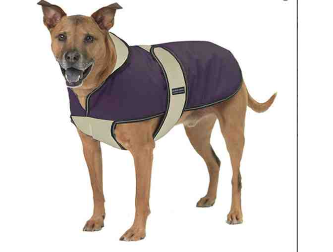 Dog Coat (XL) in Green and Brown