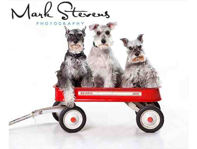 Signature Fine Art Family Portrait Session