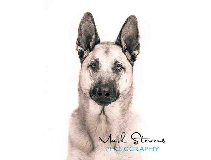 Signature Fine Art Family Portrait Session