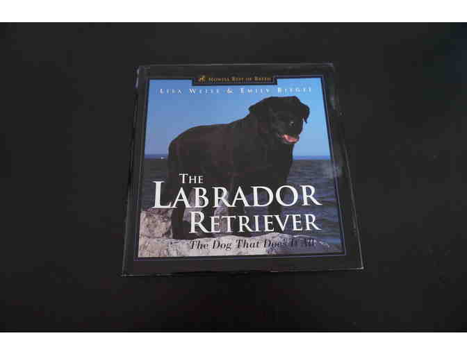The Labrador Retriever: The Dog That Does It All Book