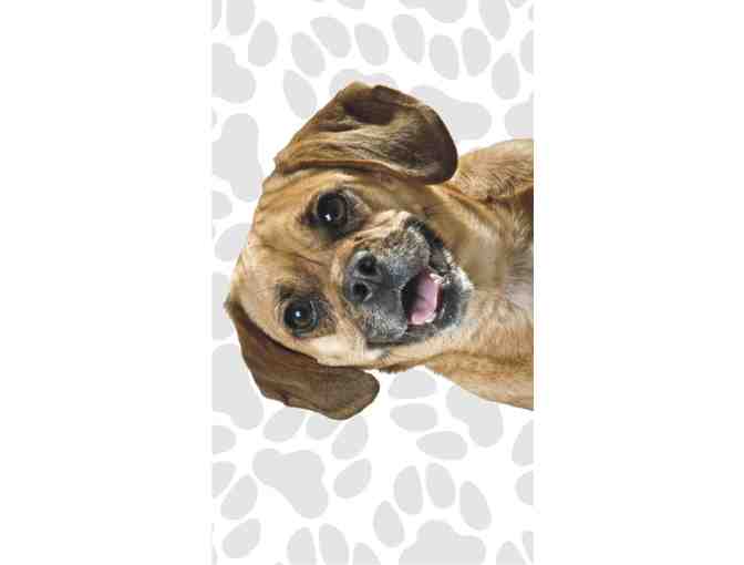 Puggle Fun Flags