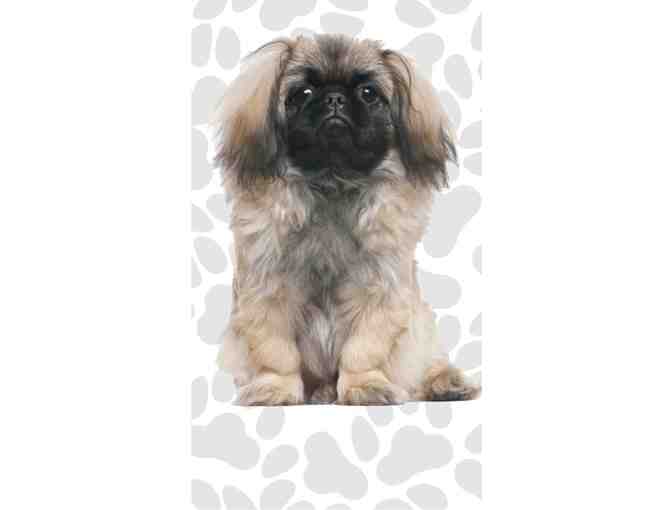 Pekingese Fun Flags