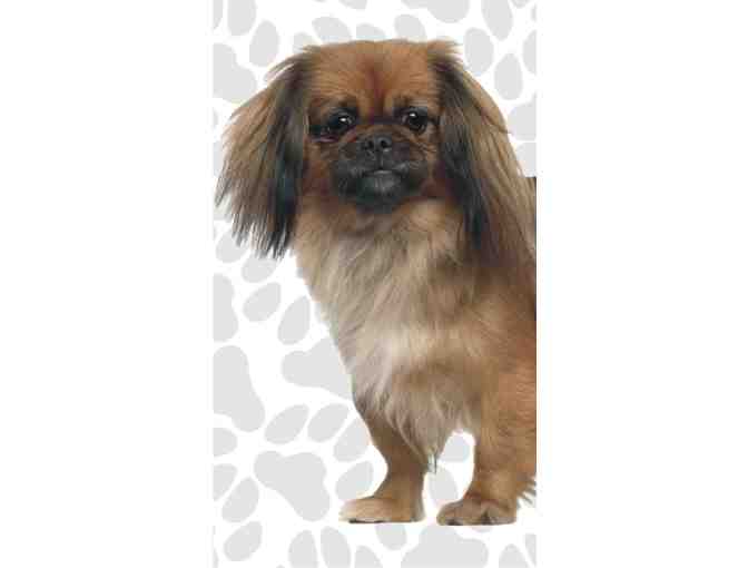 Pekingese Fun Flags