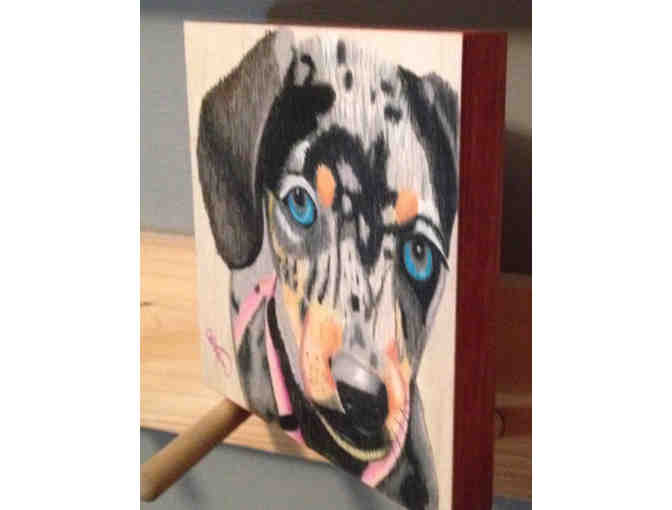 Old Blue Eyer Portrait