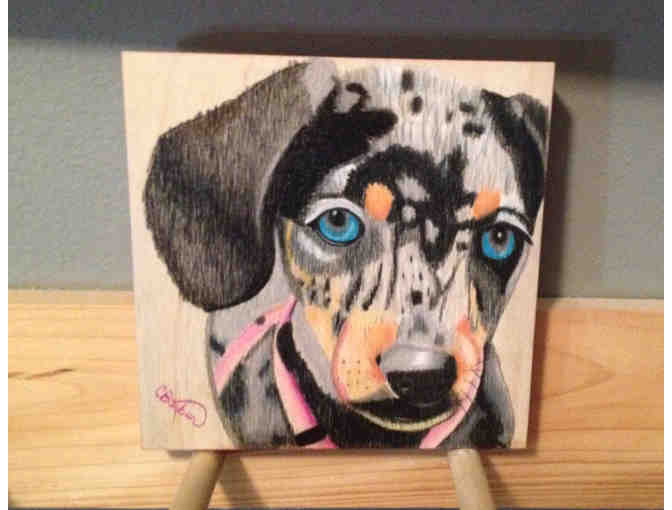 Old Blue Eyer Portrait