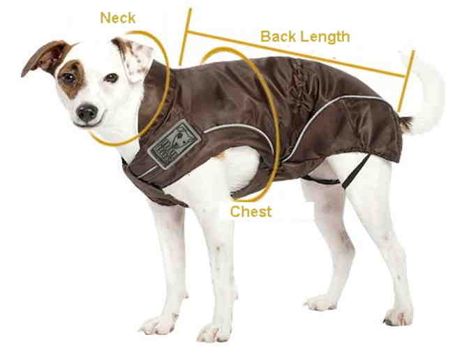 Brown Dog Winter Jackets w/ Fleece Lining- Choose Size