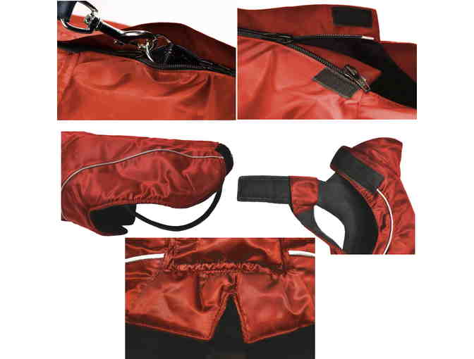 Red Dog Winter Jacket w/ Fleece Lining- Choose Size
