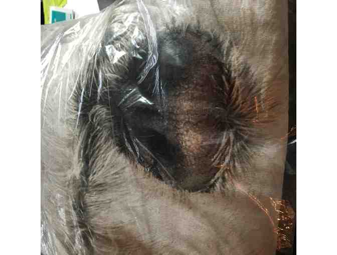 Bichon Frise Tshirt XL