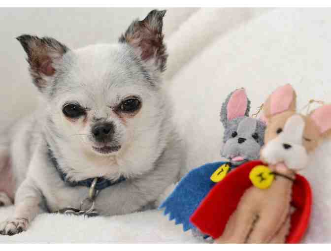 Harley and Teddy Superhero Ornaments