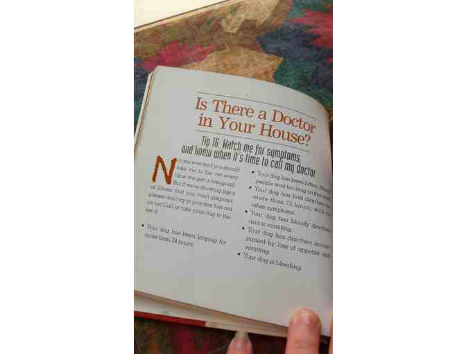 Love Me Leash Me book