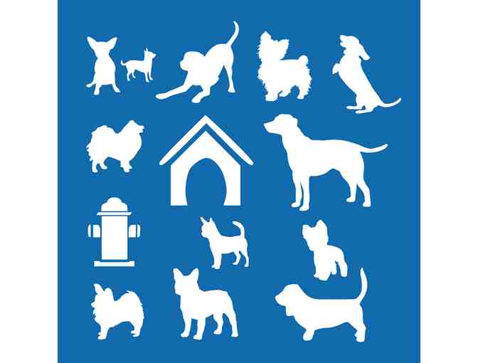 SuperCool Art - NMDR Stencil Set