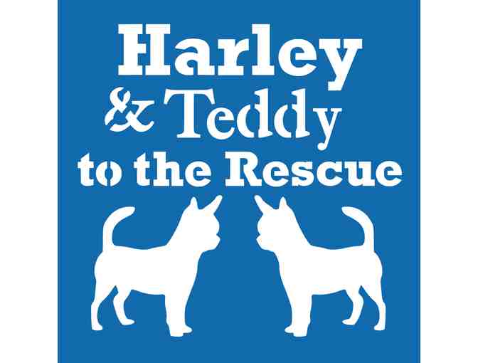 SuperCool Art - Harley & Teddy to the Rescue Set