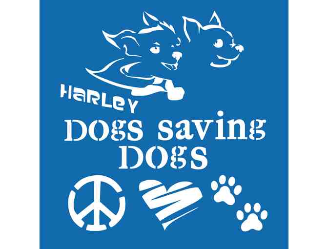 SuperCool Art - Harley & Teddy to the Rescue Set