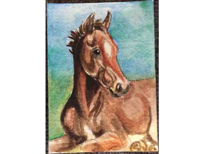 ACEO - Brown Colt