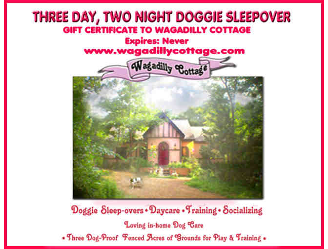 Three Day, Two Night Stay at Wagadilly Cottage