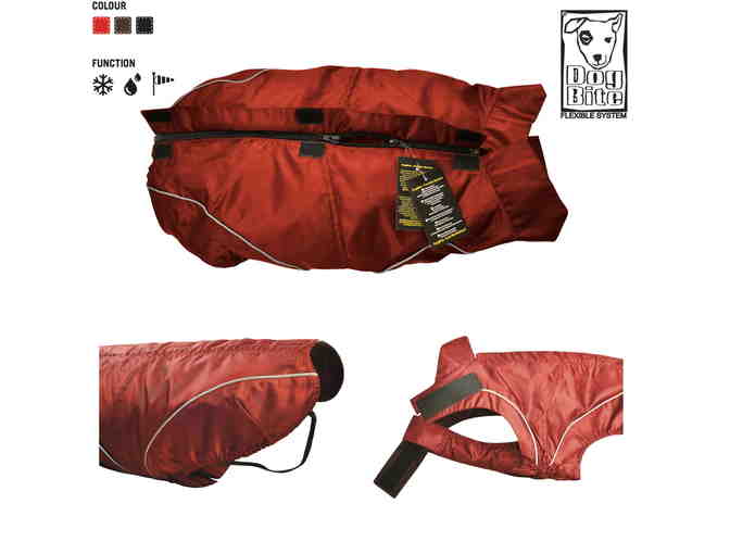 Red Rain Jacket / All-Year Jacket for Dogs- Choose Size
