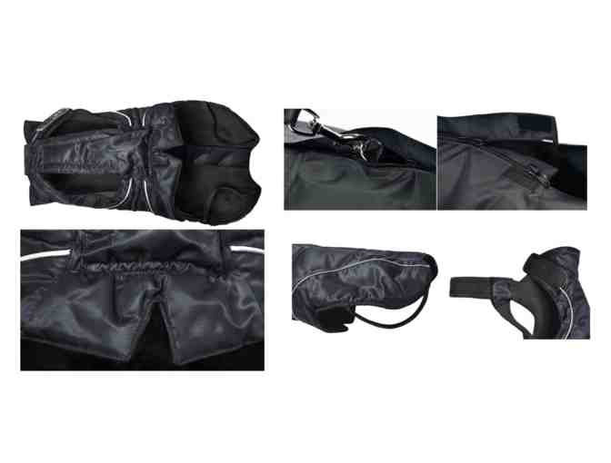 Black Dog Winter Jacket w/ Fleece Lining- Choice of Size