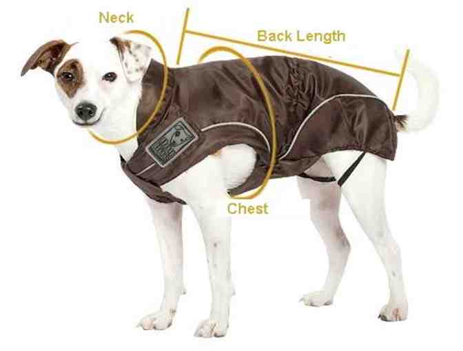 Black Dog Winter Jacket w/ Fleece Lining- Choice of Size