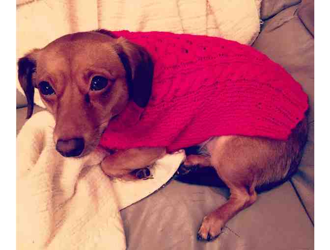 Cabled Dog Sweater-Size medium