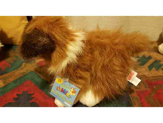 Webkinz Collie Dog