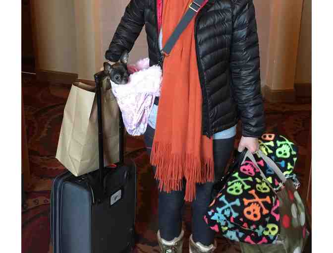 Convertible Pet Carrier- Custom Made