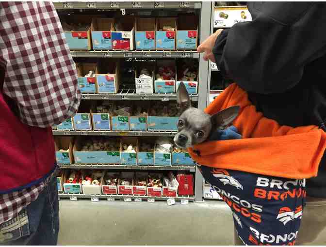 Convertible Pet Carrier- Custom Made