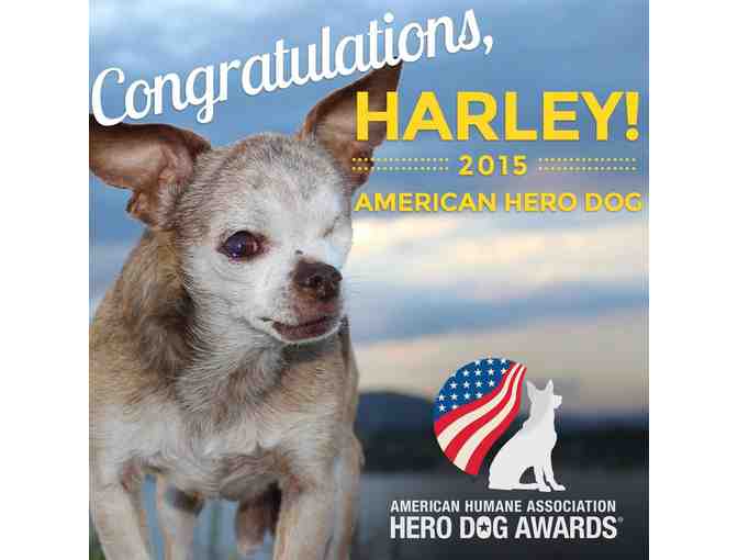 Harley - Hero Dog Awards Program