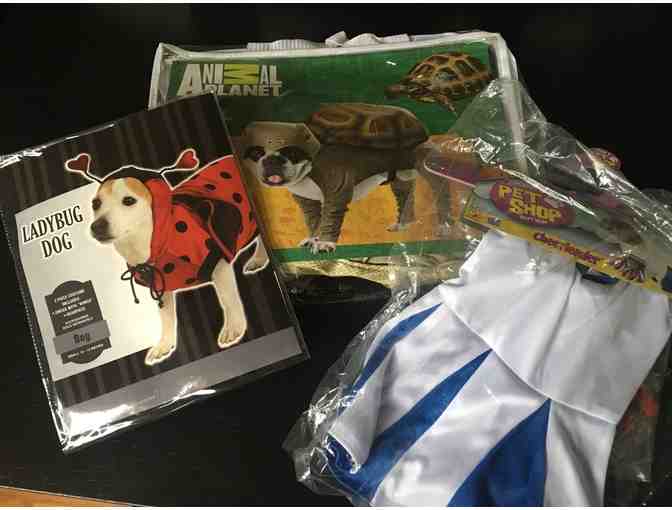 Dog Halloween Costumes Package