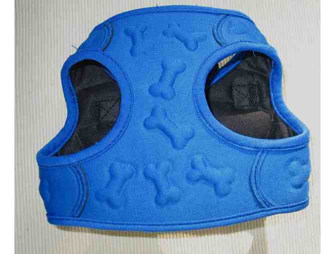 Petite Two-Piece New Dog Jacket + Like New Harness