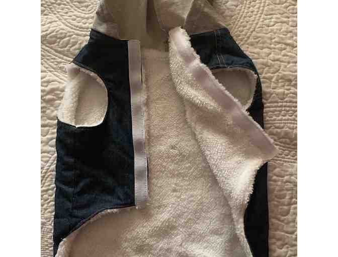 Hand Painted Dog Vest