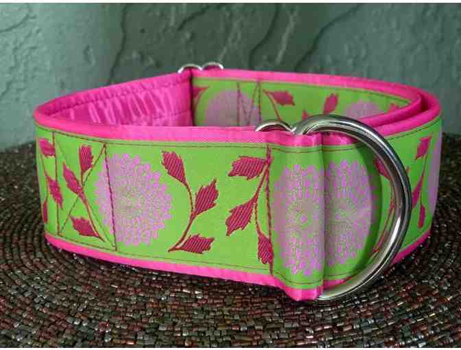 Collar and Leash Set