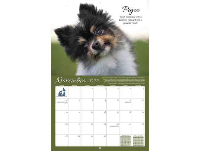 Official 2022 National Mill Dog Rescue Calendar