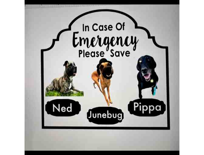 Emergency Pet Decals set of 2