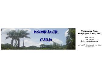 Stay for two at the Moonracer Farm B&B in Belize