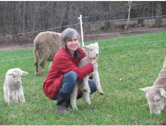 VT Grand View Farm B&B Retreat