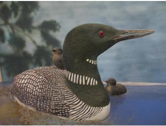 Birds of Vermont Museum Gift Pack