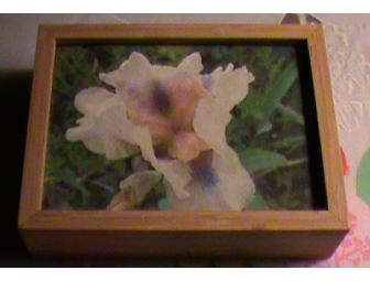 Floral Photo Paintings