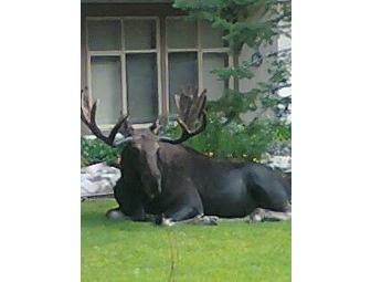 3 night stay - Powderhorn Lodge - Solitude, UT