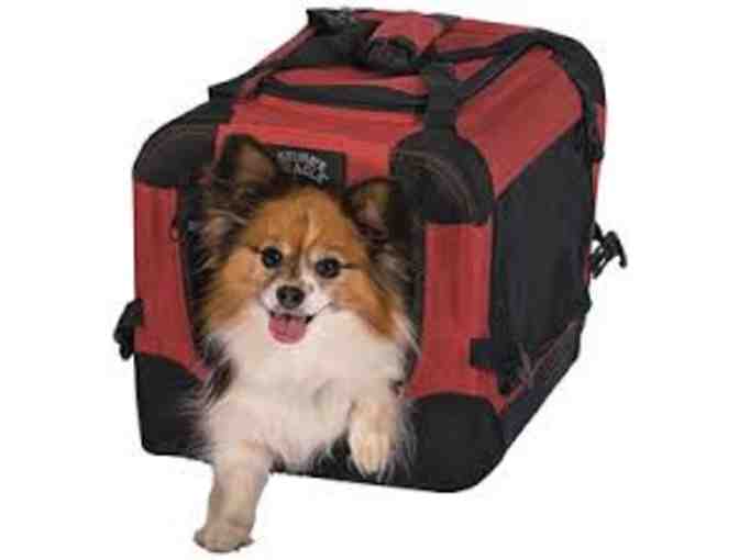 Have Pet Will Travel