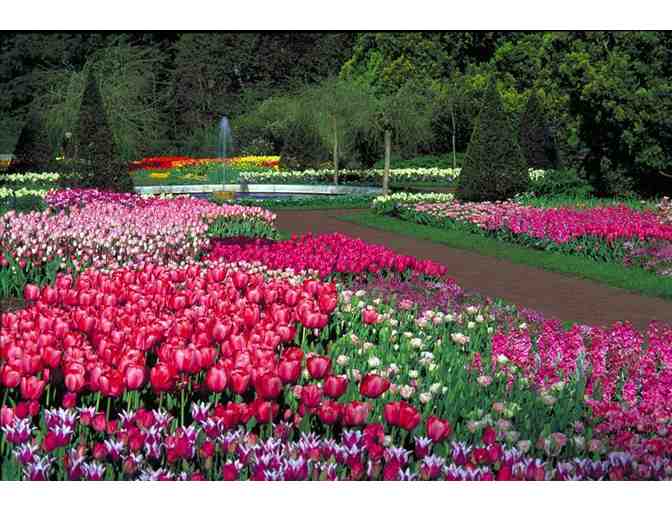 Two (2) Admission Tickets to Longwood Gardens
