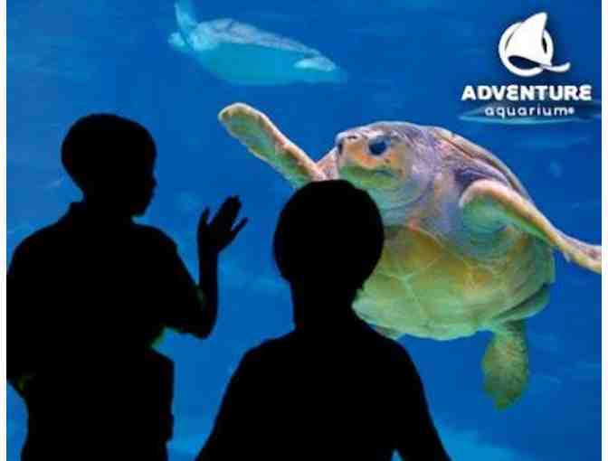 Two (2) Passes to Adventure Aquarium