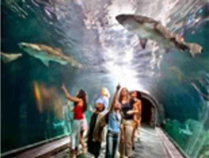 Two (2) Passes to Adventure Aquarium