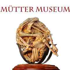 Mutter Museum