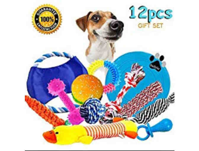 Doggie Treats and Toys Basket