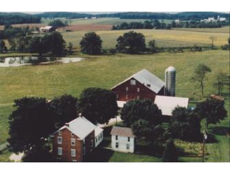 For the History Buff