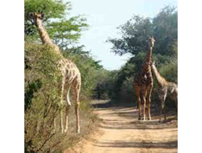 6 Night Ezulwini Safari for 2