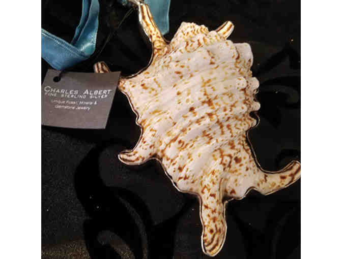 Spider Conch Shell Pendant Trimmed in Sterling Silver, by Charles Albert
