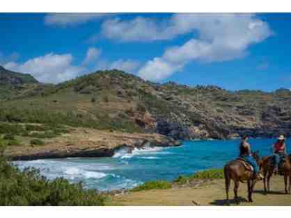 CJM Stables - Secret Beach Picnic Ride