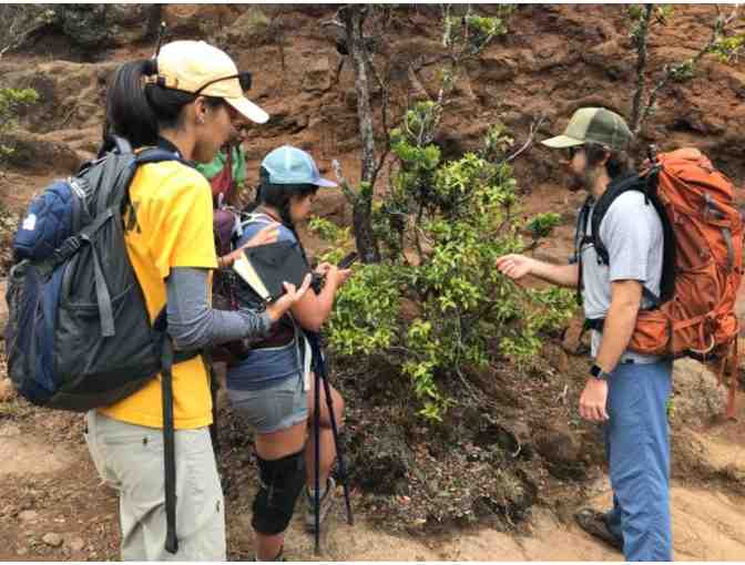 Kokee Hike for four with Our Conservation Team