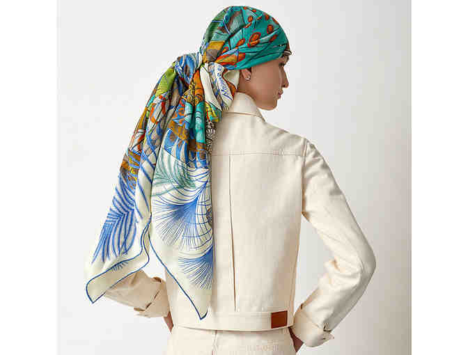 Hermes Plumes en Fete shawl